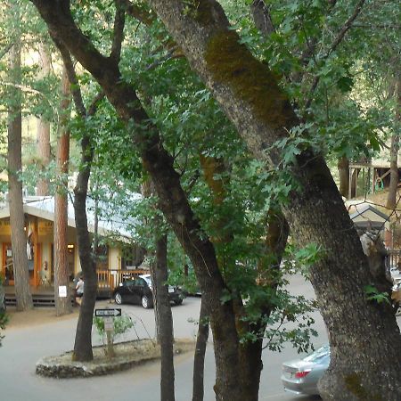Yosemite Bug Rustic Mountain Resort Midpines Εξωτερικό φωτογραφία