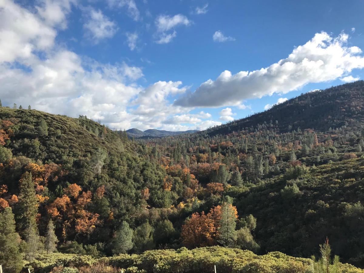Yosemite Bug Rustic Mountain Resort Midpines Εξωτερικό φωτογραφία
