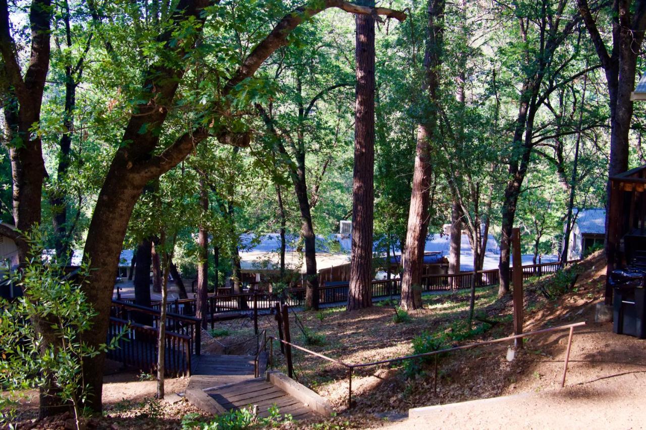 Yosemite Bug Rustic Mountain Resort Midpines Εξωτερικό φωτογραφία