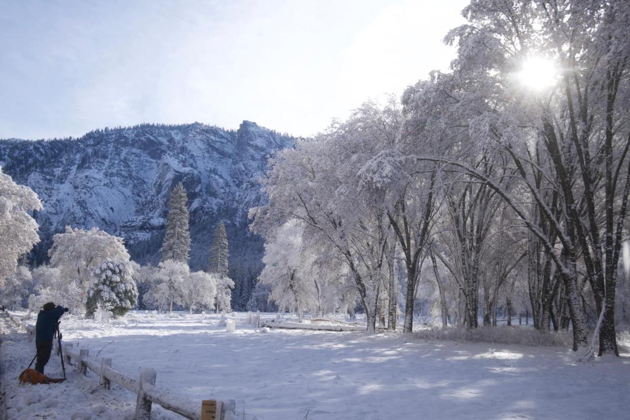 Yosemite Bug Rustic Mountain Resort Midpines Εξωτερικό φωτογραφία