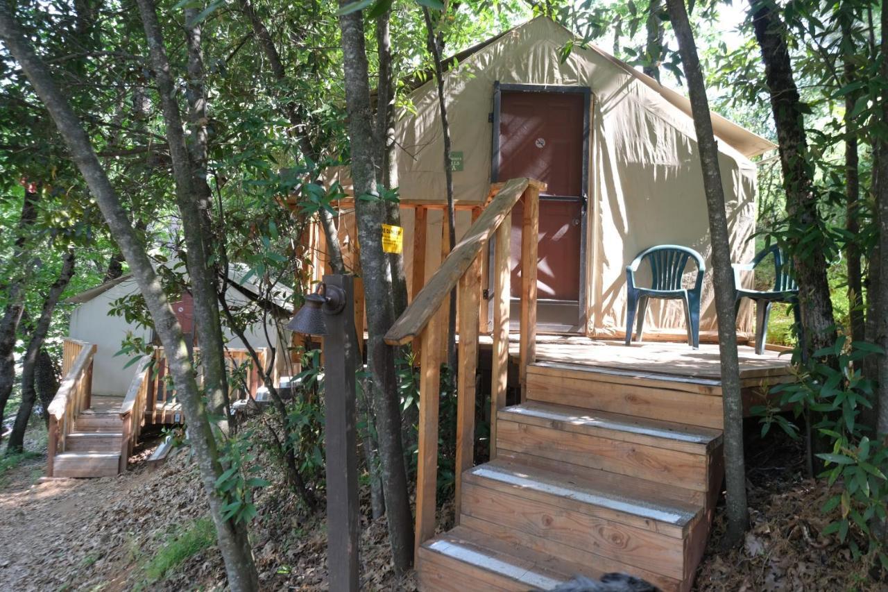 Yosemite Bug Rustic Mountain Resort Midpines Εξωτερικό φωτογραφία