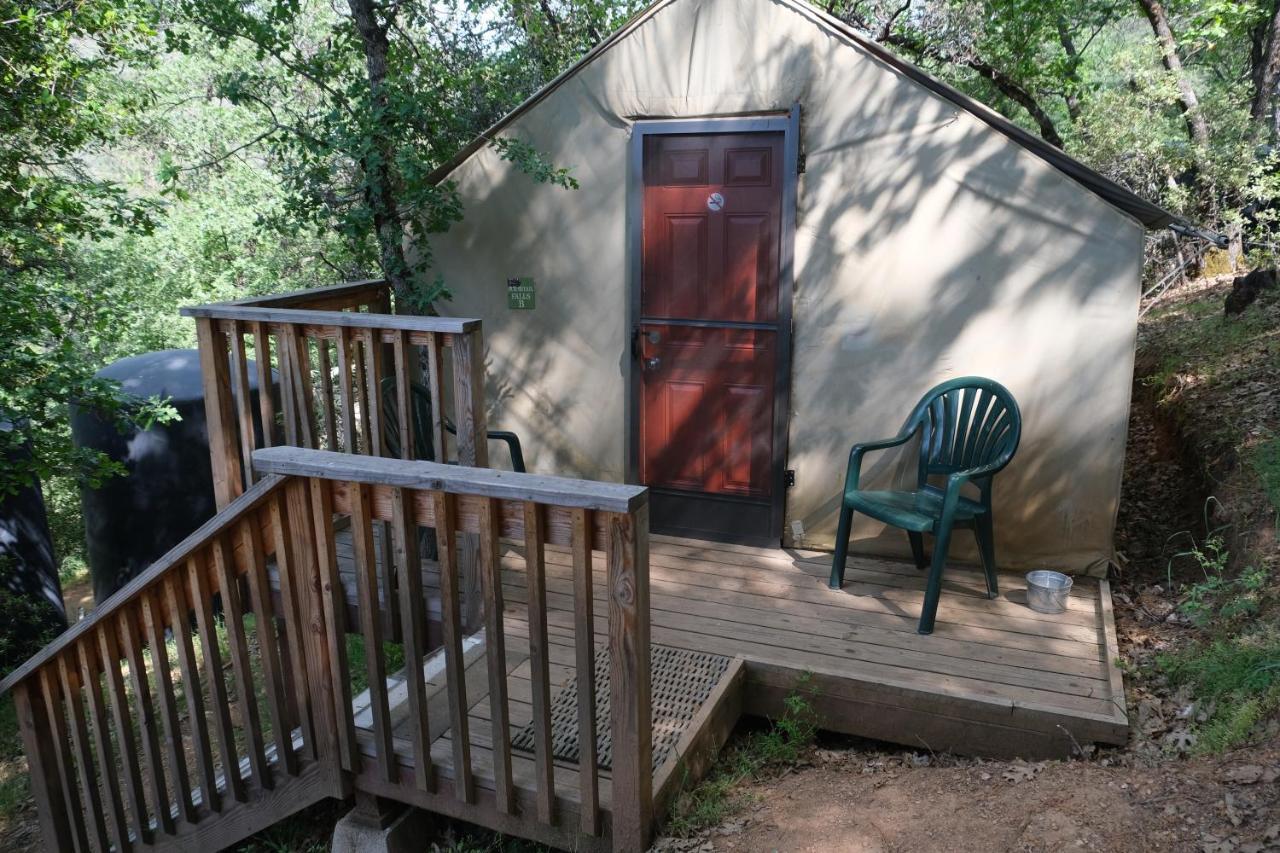 Yosemite Bug Rustic Mountain Resort Midpines Εξωτερικό φωτογραφία