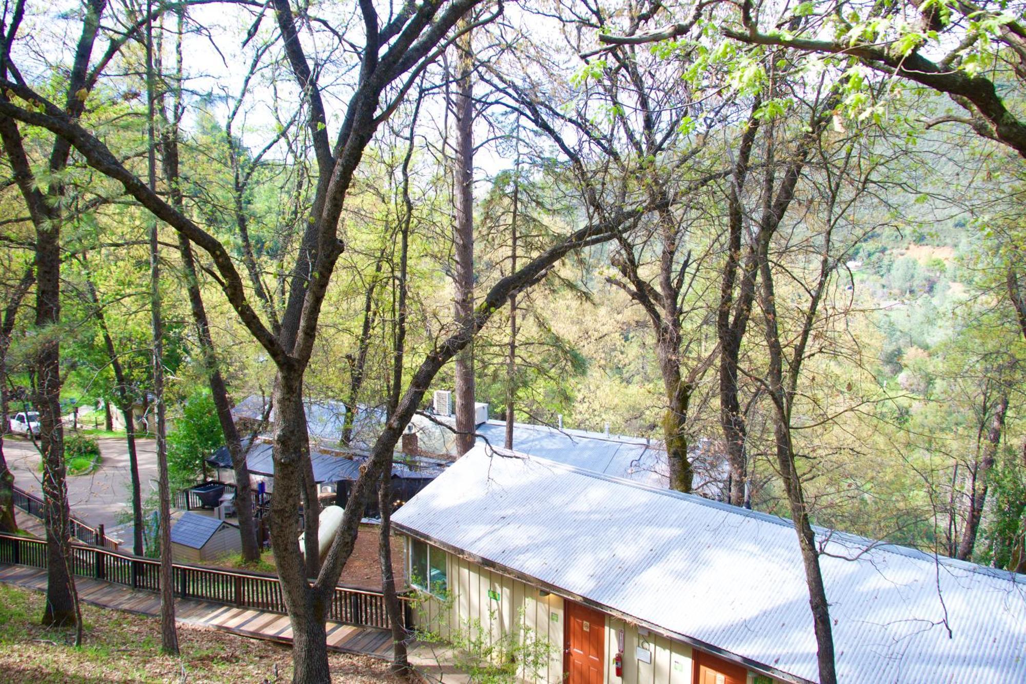 Yosemite Bug Rustic Mountain Resort Midpines Εξωτερικό φωτογραφία