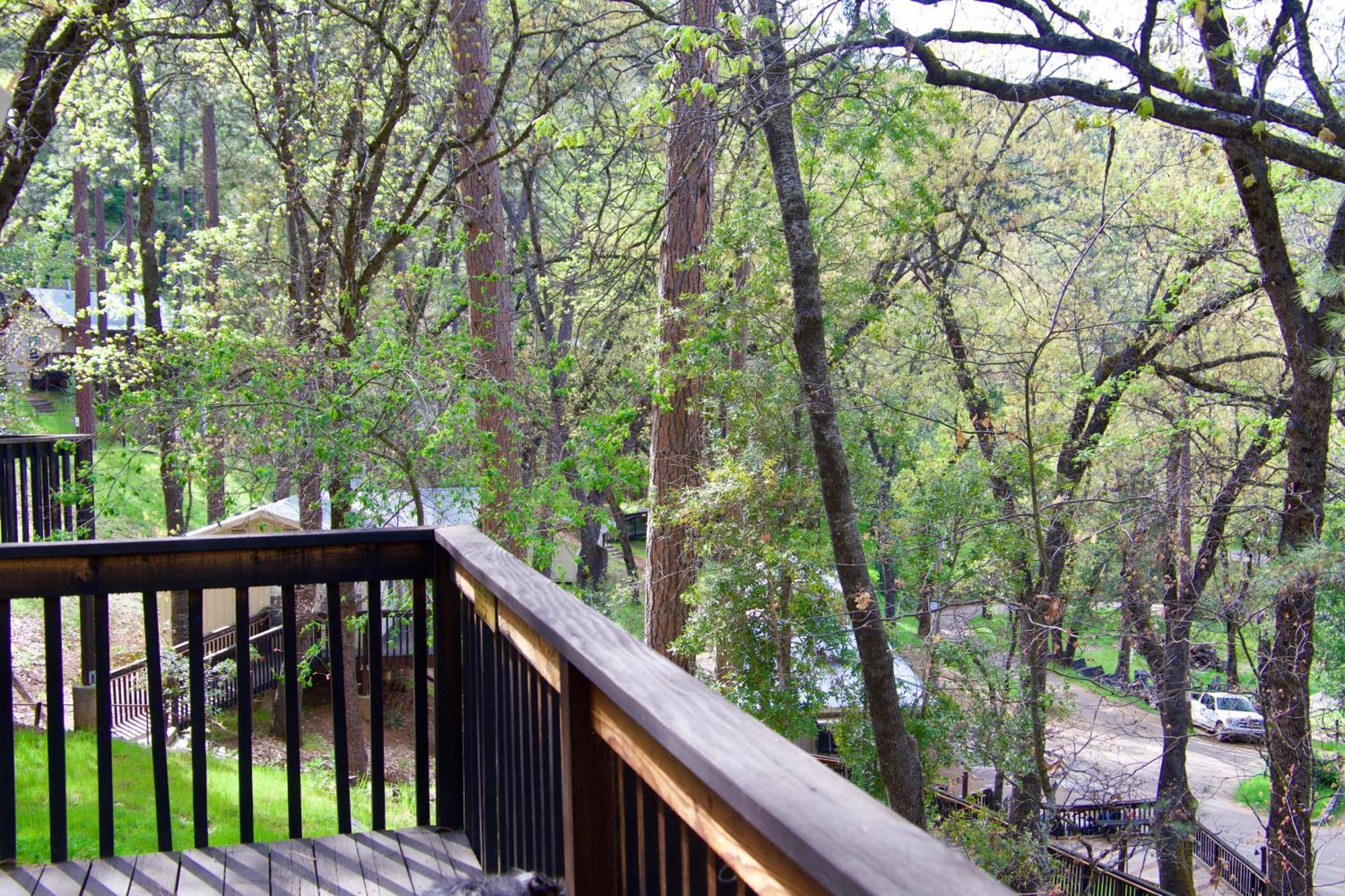 Yosemite Bug Rustic Mountain Resort Midpines Εξωτερικό φωτογραφία