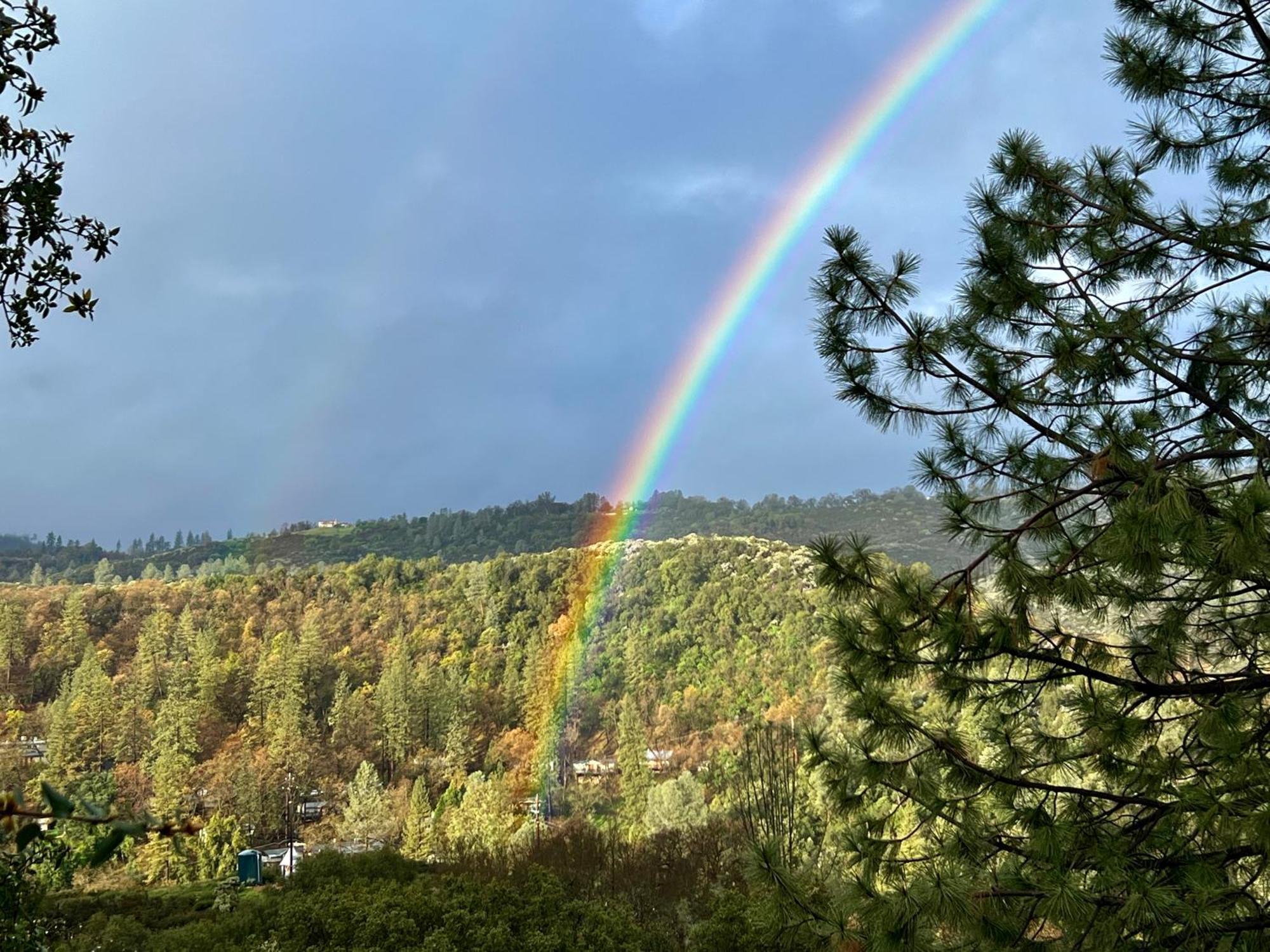Yosemite Bug Rustic Mountain Resort Midpines Εξωτερικό φωτογραφία