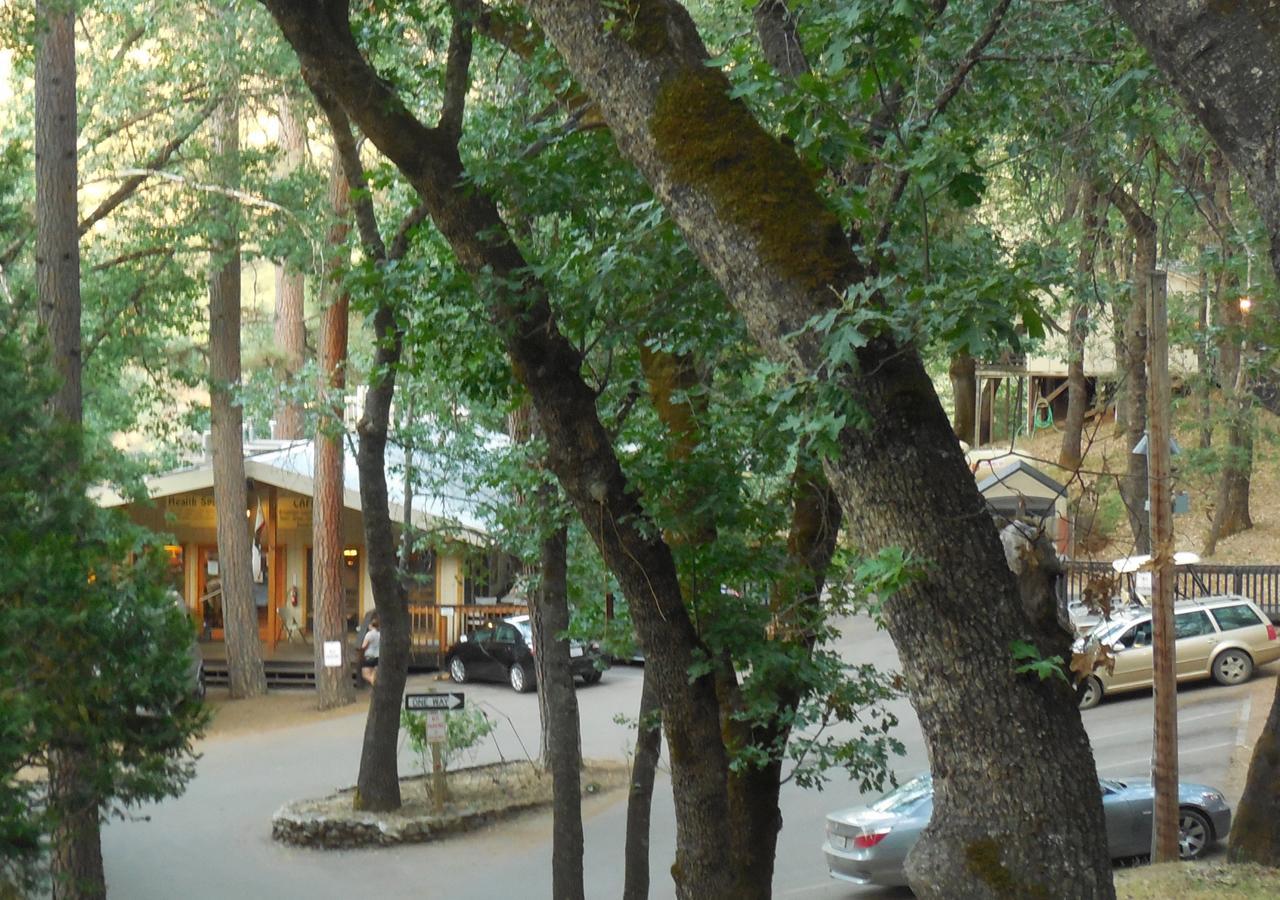 Yosemite Bug Rustic Mountain Resort Midpines Εξωτερικό φωτογραφία